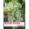 Саженцы винограда Княгиня Ольга (Ранний/Белый) -  комплект 5 шт.